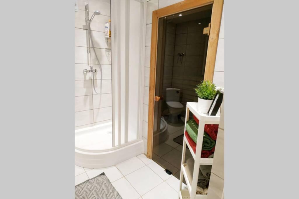 Private Sauna & 4 Bedrooms Old Town Rooftop Apartment Vilnius Exterior photo